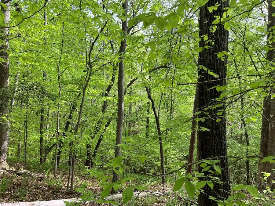 0 Sheets Trail, Germanton, NC 27019 - Image #3