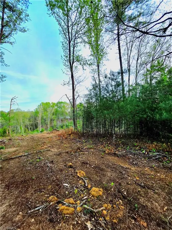 TBD Ruritan Park Road, North Wilkesboro, NC 28659 - #3