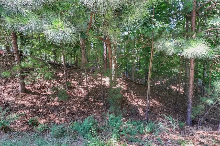 496 Kenway Loop, Mooresville, NC 28117 - #3