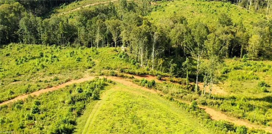 Lot 7 Thayer Road, Trinity, NC 27370 - #2