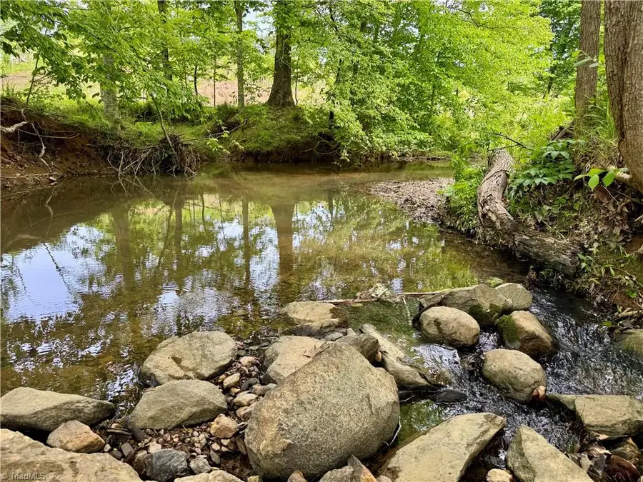 Lot 7 Thayer Road, Trinity, NC 27370 - #3