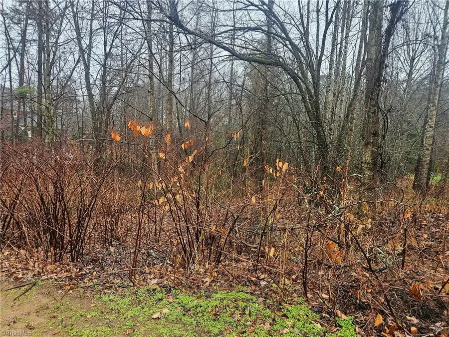 2040 Jefferson Oaks Drive, Rural Hall, NC 27045 - Image #2