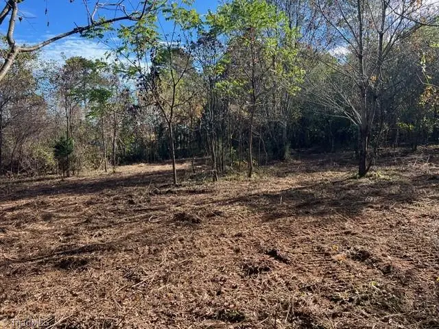 0 Blue Dan Lane, Yadkinville, NC 27055 - Image #3