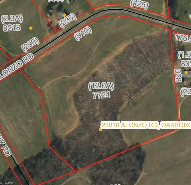 000 Alonzo Road, Oakboro, NC 28129 - #2
