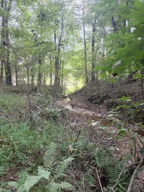 0 W Greensboro Chapel Hill Road, Liberty, NC 27298 - Image #2