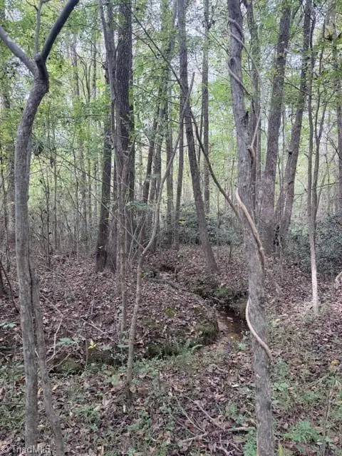 0 W Greensboro Chapel Hill Road, Liberty, NC 27298 - Image #3