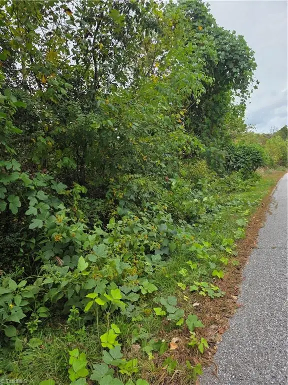 000 Holly Brook Street, North Wilkesboro, NC 28659 - #1