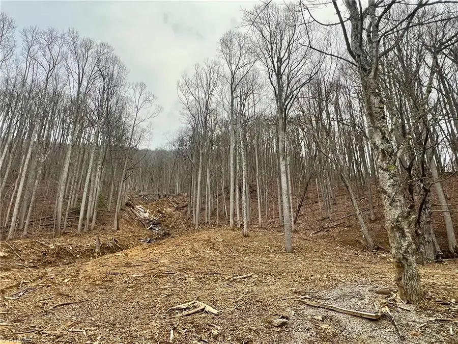 TBD Creek Road, Boone, NC 28607 - #2