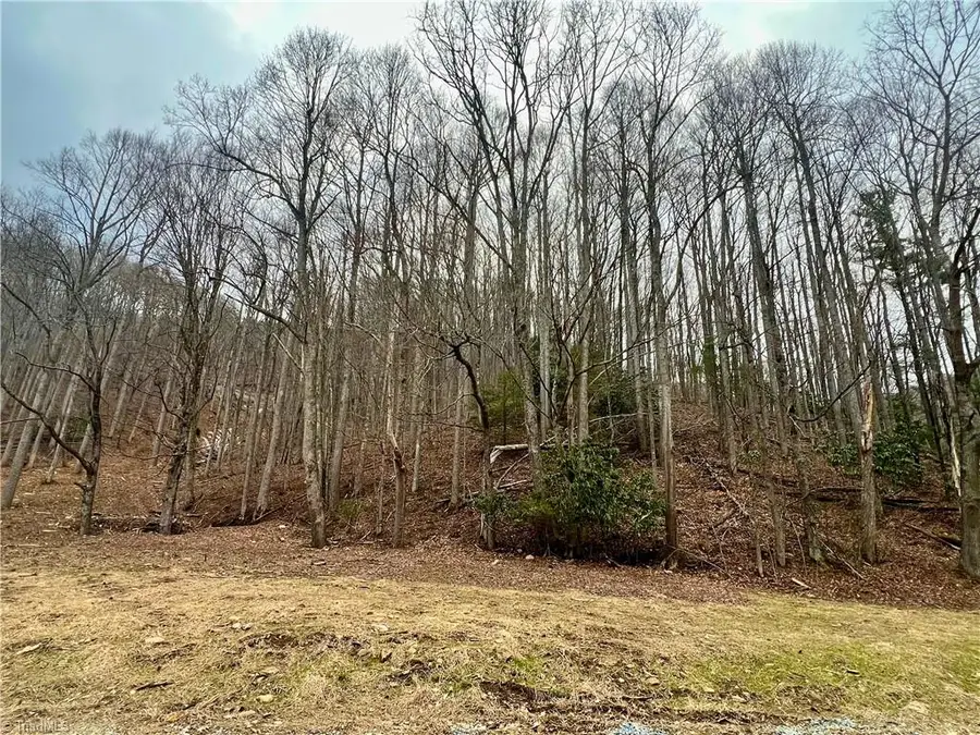 TBD Creek Road, Boone, NC 28607 - #3