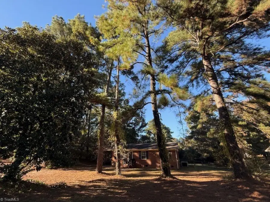 5423 Pine Level Drive, Browns Summit, NC 27214 - Image #2