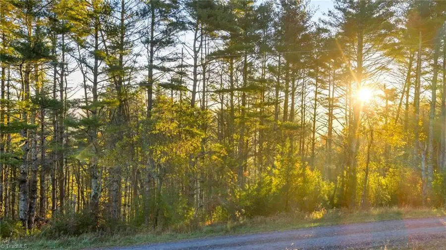 TBD - 18 Davis Acres Drive, West Jefferson, NC 28694 - Image #2