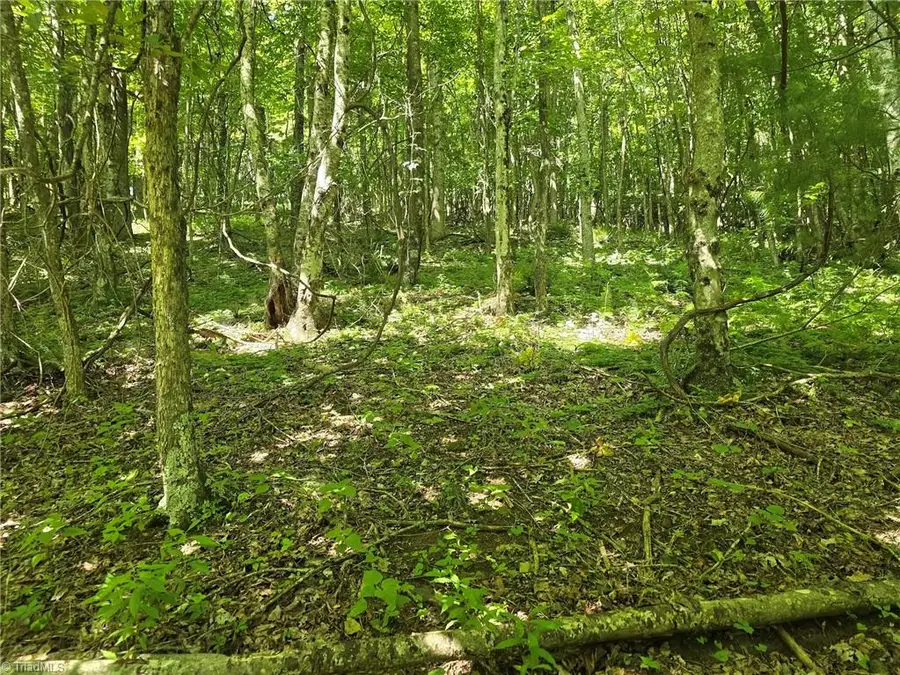 TBD 66 White Tail Trail, West Jefferson, NC 28694 - Image #3