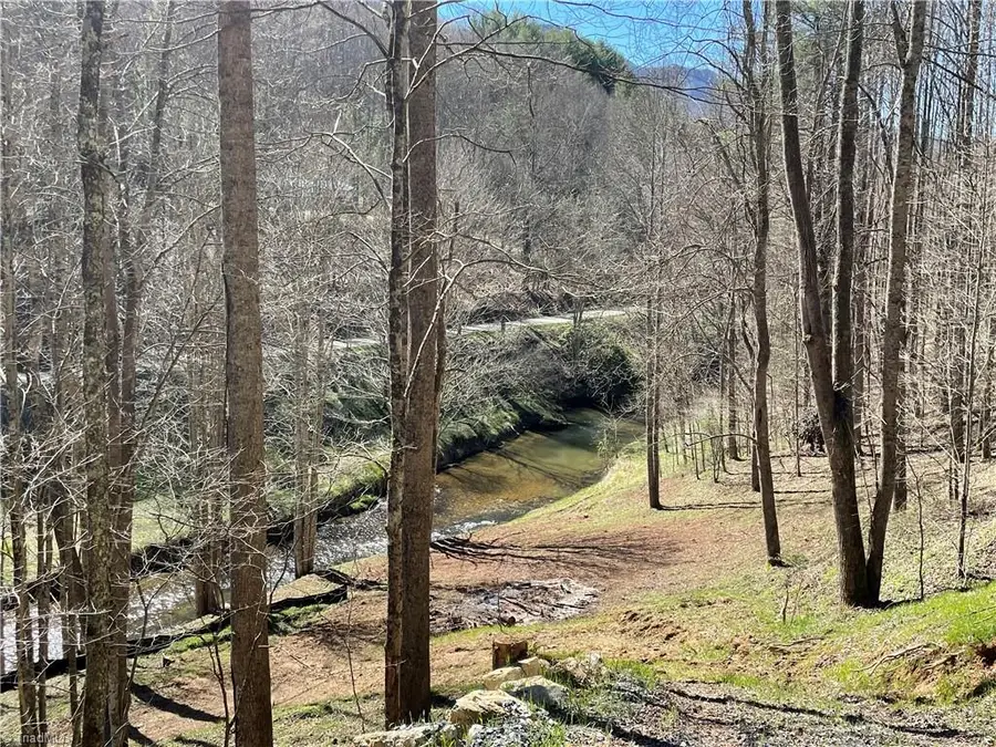 6 Stonegate Lane, Creston, NC 28615 - Image #2