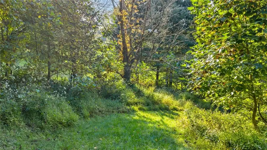 TBD Mulatto Mountain Road, West Jefferson, NC 28694 - Image #3