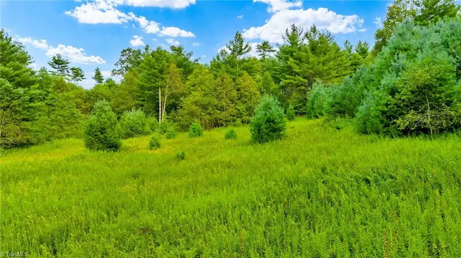 TBD Us Highway 221 S, Fleetwood, NC 28626 - Image #2