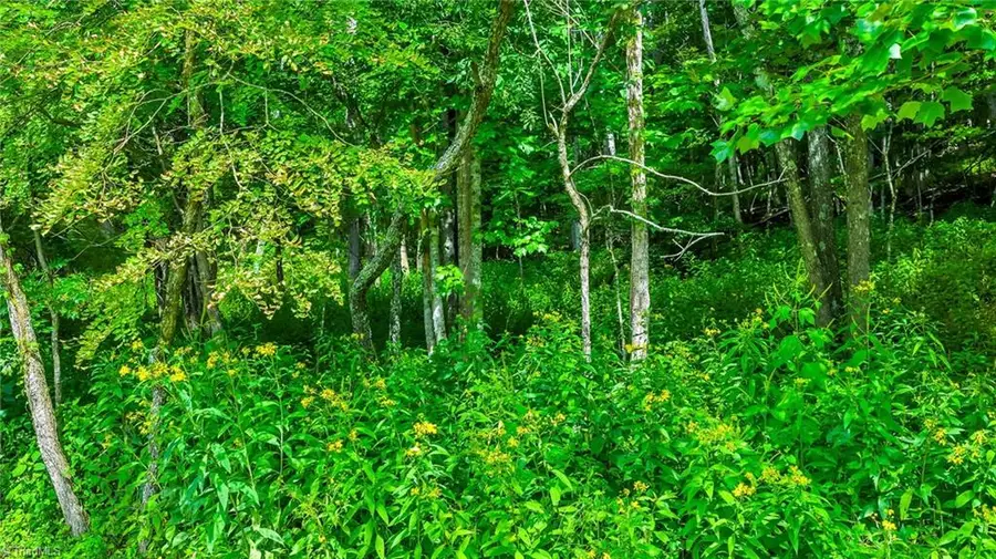 TBD 2 Christmas Mtn Lane, Fleetwood, NC 28626 - Image #2