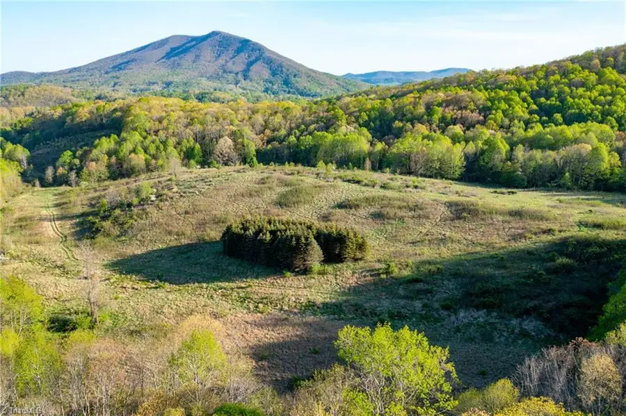 TBD Ashe Park Road, Jefferson Township, NC NC - Image #2