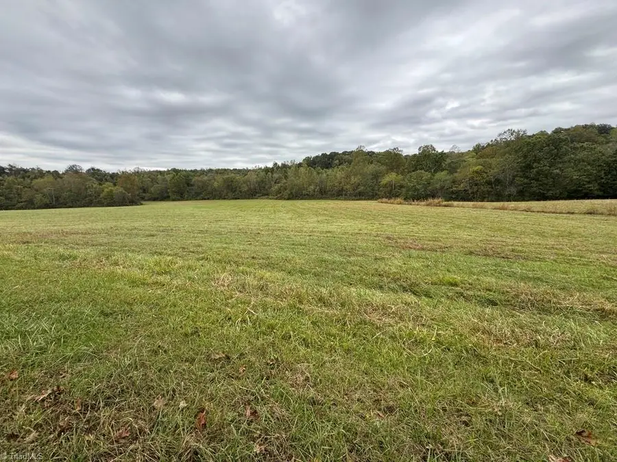 x Miller Gap Road #21.3, Ararat, NC 27007 - Image #3