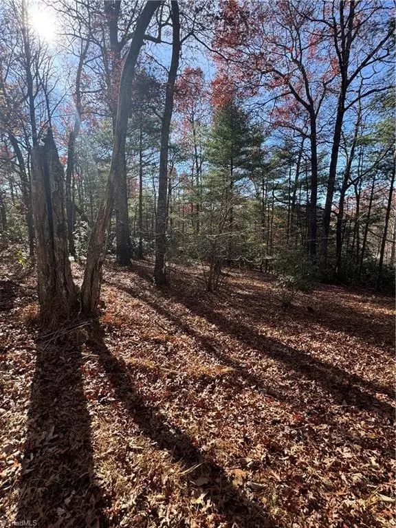 324 Morrison Lane, Fleetwood, NC 28626