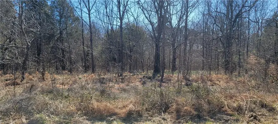 5424 Wild Turkey Road, Whitsett, NC 27377 - Image #3