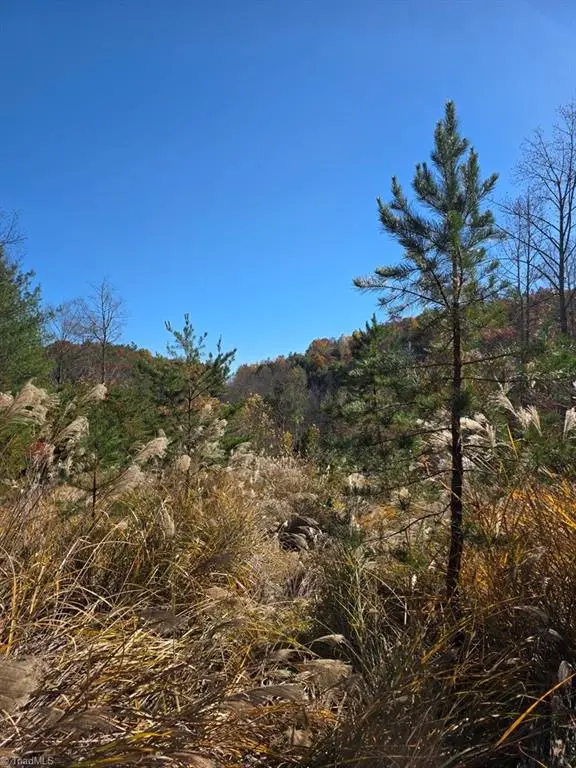 TBD Browntown Road, Millers Creek, NC 28651 - Image #1