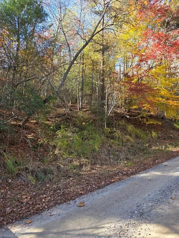 TBD Browntown Road, Millers Creek, NC 28651 - Image #2