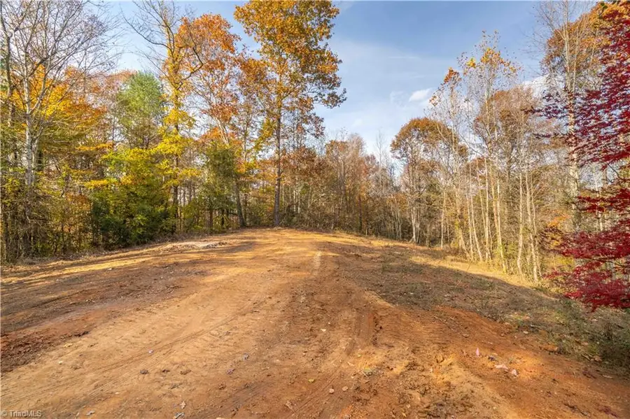 1165 Dehart Community Ctr Road, Hays, NC 28635 - Image #3