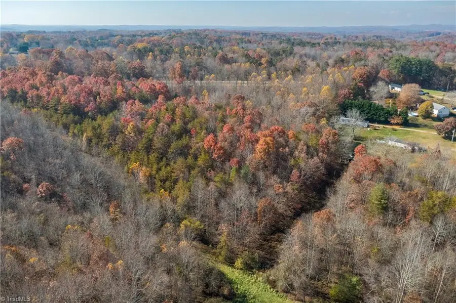 0 Wilkes Lane, Pilot Mountain, NC 27041 - Image #2