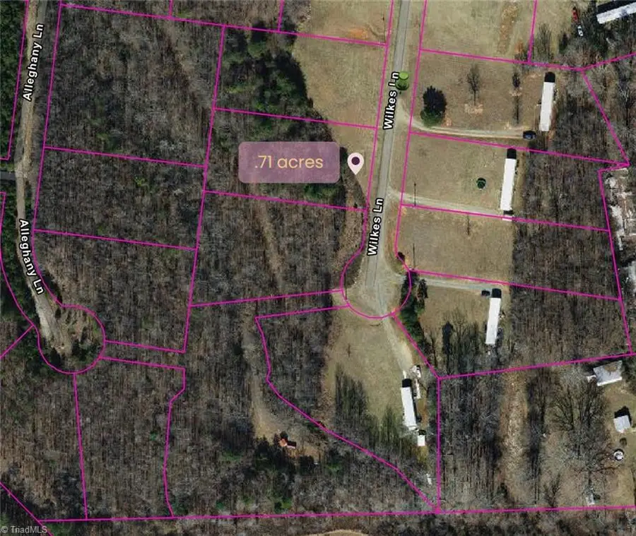 2725 Wilkes Lane, Pilot Mountain, NC 27041 - Image #3