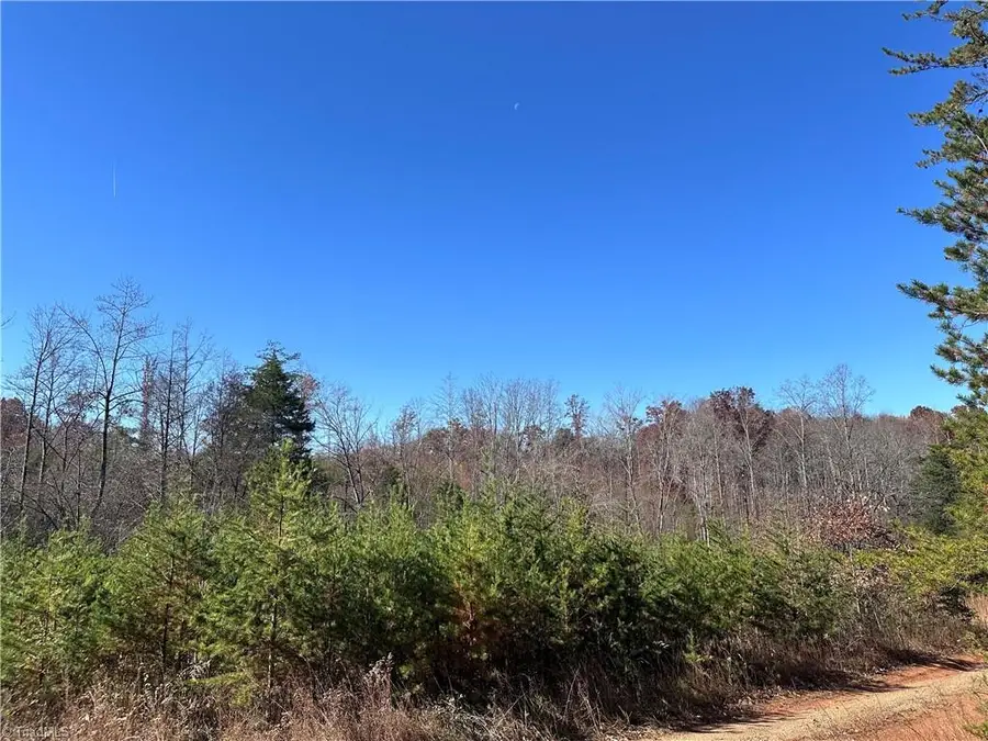 5 Stephens Trail Road, Sandy Ridge, NC 27046 - Image #3