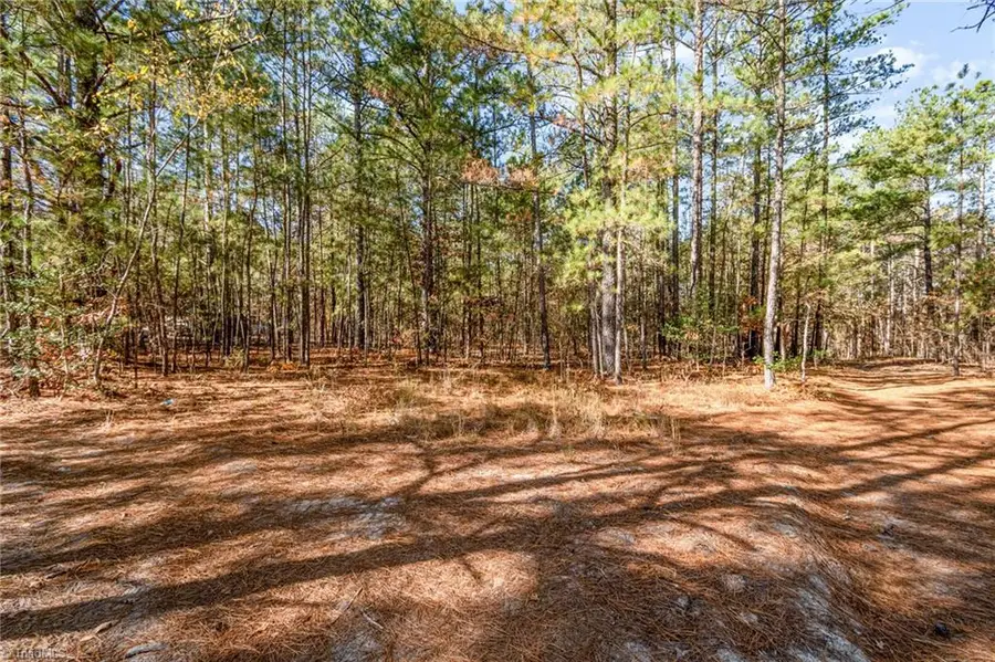 0 Brookside Road, West End, NC 27376 - Image #2