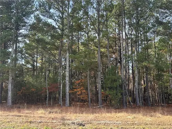 Lot 1 Windblow Road, Jackson Springs, NC 27281