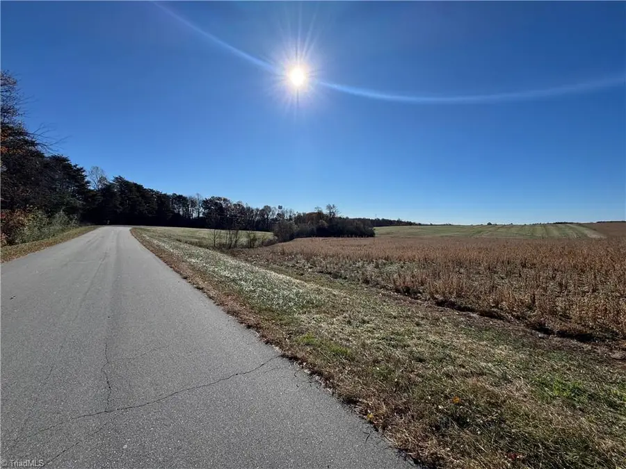 446 Grover Simmons Road, Dobson, NC 27017 - Image #2