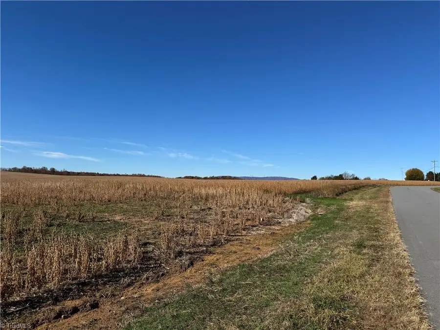 446 Grover Simmons Road, Dobson, NC 27017 - Image #3