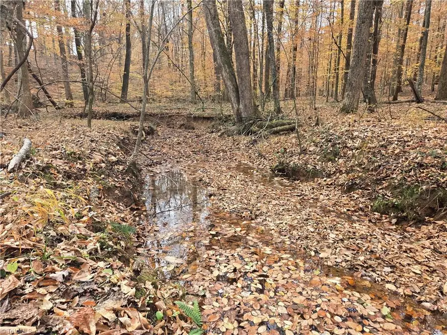 4901 Montford Road, Pfafftown, NC 27040 - Image #3