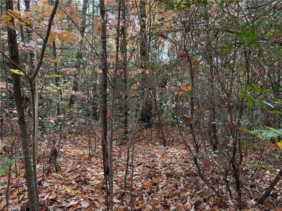 Lot 209 Casey Mountain Road, Purlear, NC 28665 - Image #2