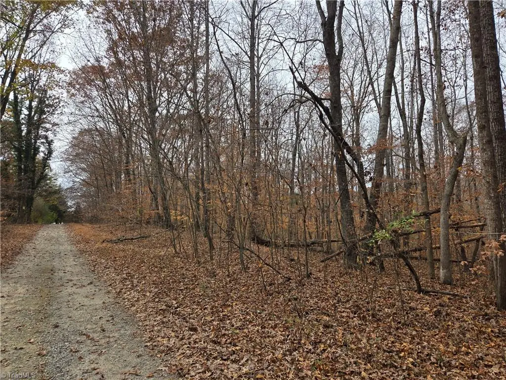 4927 Montford Road, Pfafftown, NC 27040 - Image #1