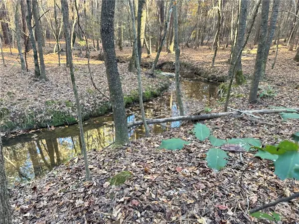 19.6 acres Willie Road, Seagrove, NC 27341