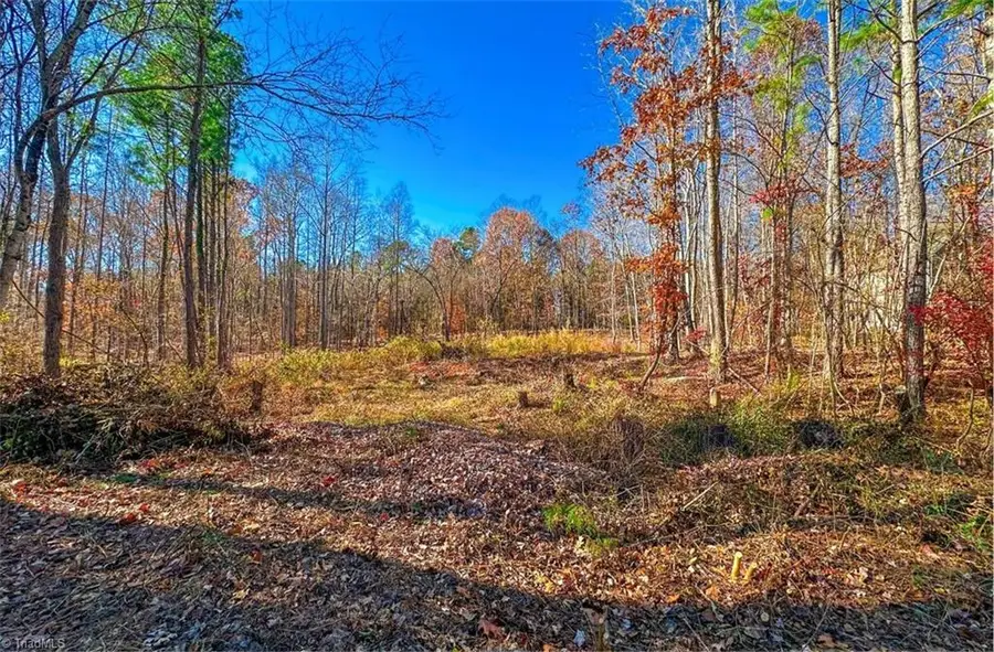 170 Hash Lane, Summerfield, NC 27358 - Image #3