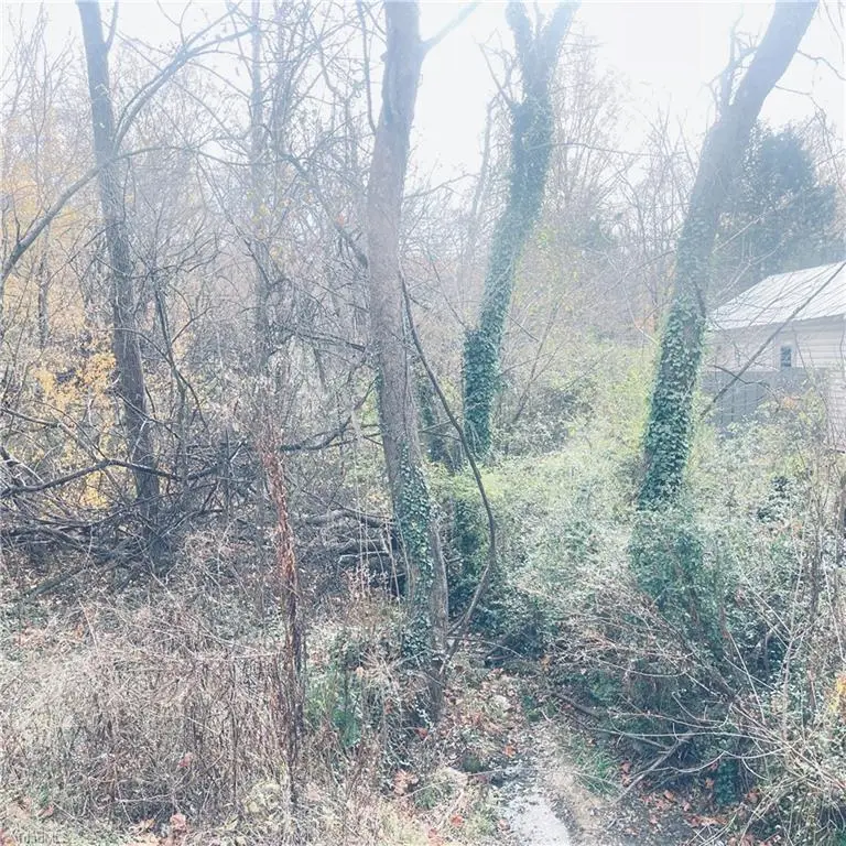 0 First Street, Eden, NC 27288 - Image #3