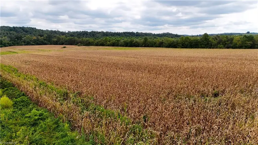 19.313 +/- acres Fisher Valley Road, Dobson, NC 27017 - Image #2