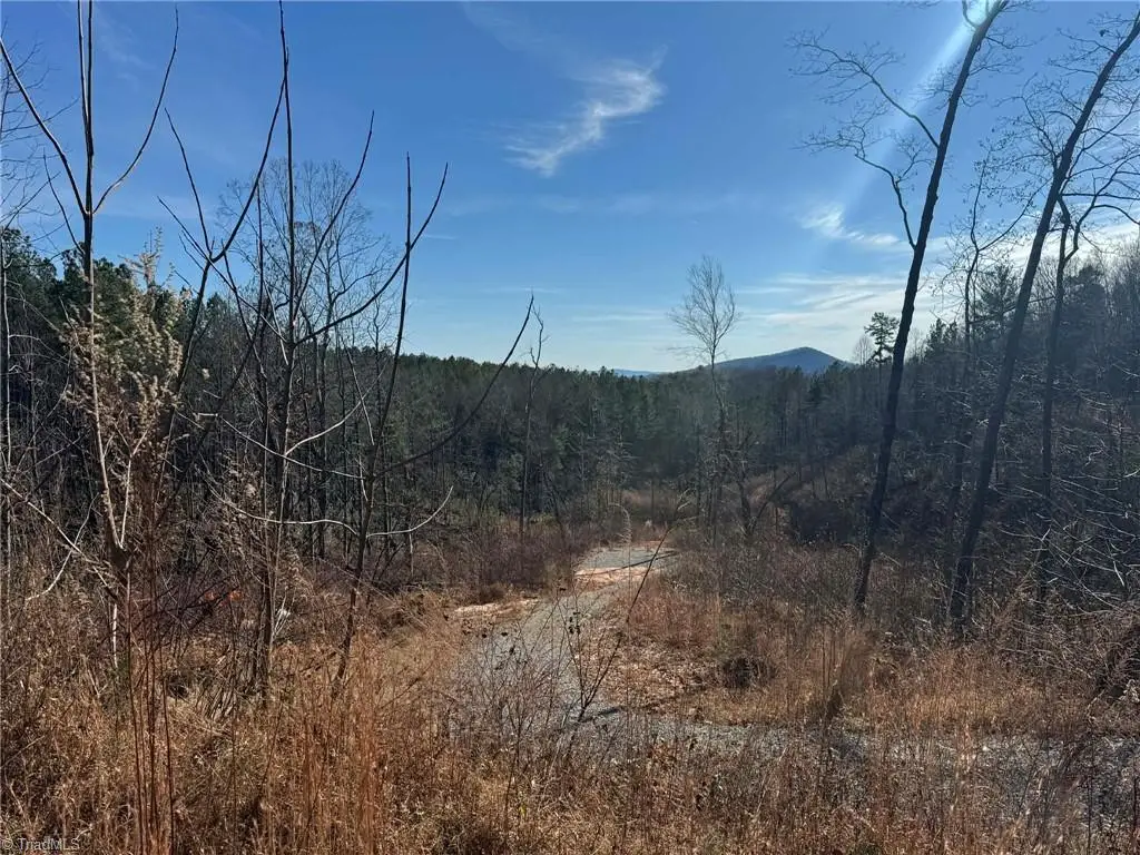 TBD Old Railroad Grade Road, Thurmond, NC 28683 - Image #1