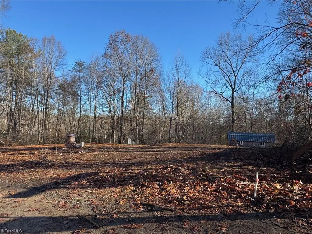 1028 Raccoon Run Lane, Jonesville, NC 28642 - Image #1