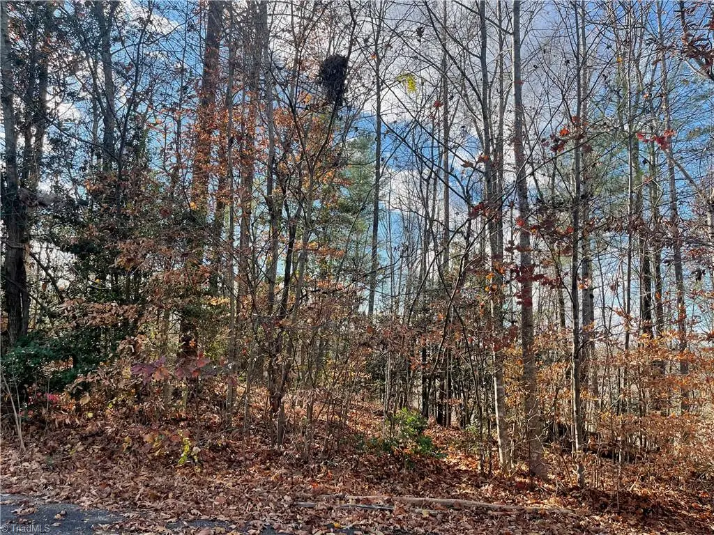 Lot 4 Longview Drive, Wilkesboro, NC 28697 - Image #1
