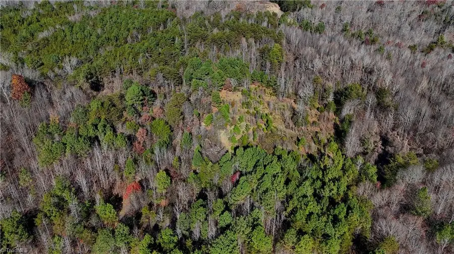 5417 Turner Smith Road, Browns Summit, NC 27214 - Image #2