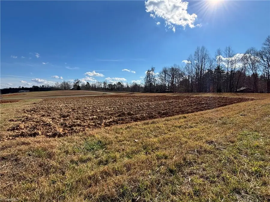 0 Pleasant View Church Road, Danbury, NC 27016 - Image #2