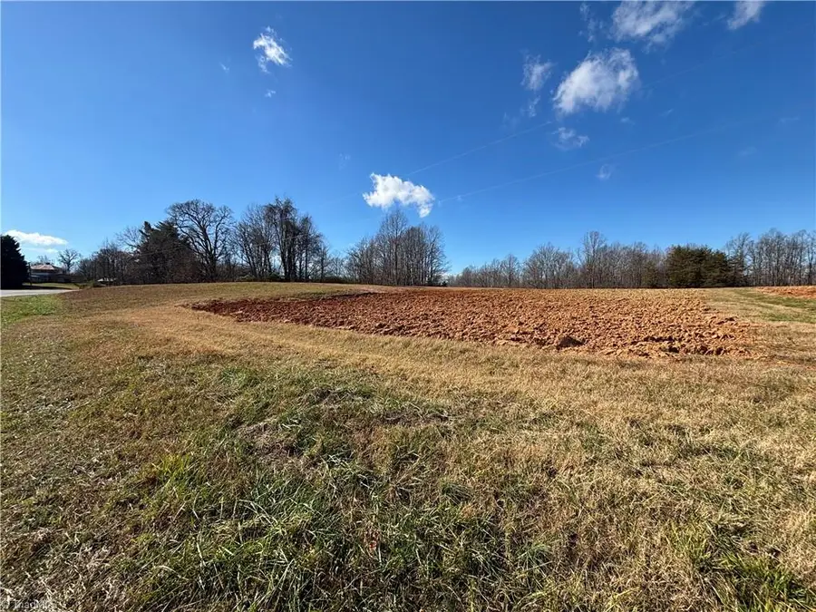 0 Pleasant View Church Road, Danbury, NC 27016 - Image #3