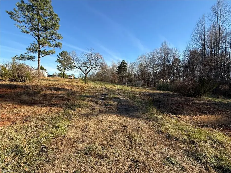 000 Mulberry Academy Street, Franklinville, NC 27248 - Image #3