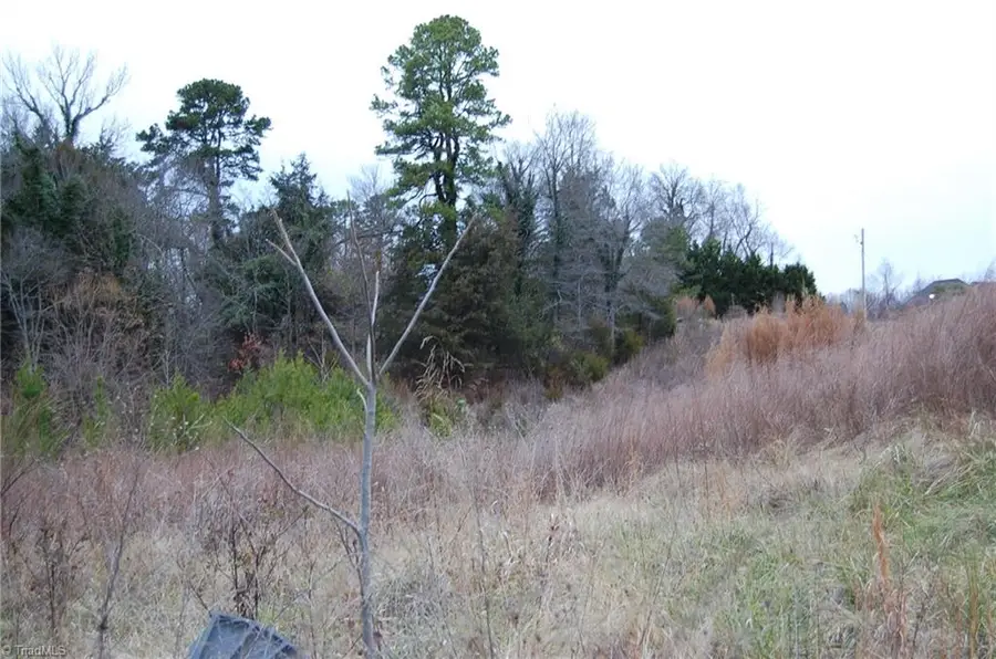 00 Solway Drive, High Point, NC 27262 - Image #3