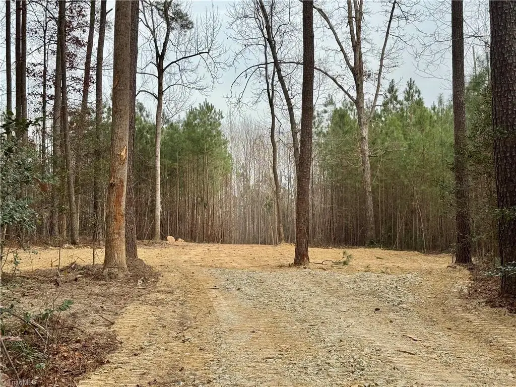 0 Dover Church Road, Seagrove, NC 27341 - Image #1